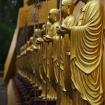 Reihen über Reihen Buddhastatuen