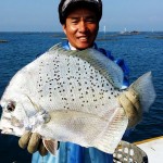 Fisch, Foto(c) 陳正淵