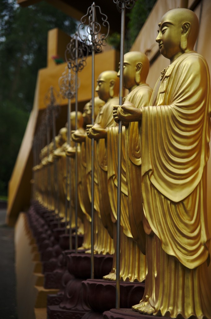 Reihen über Reihen Buddhastatuen